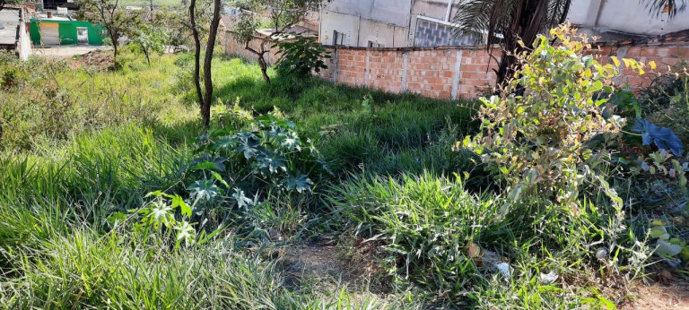 Imagem Terreno à Venda, 360 m² em Santa Cecília - Esmeraldas Imagem Terreno à Venda, 360 m² em Santa Cecília - Esmeraldas
