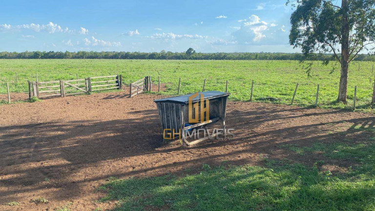 Imagem Fazenda à Venda, 4.017.000 m² em Assentamento  - Ribeirão Cascalheira
