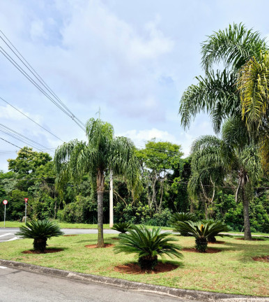Terreno à Venda, 365 m² em Parque Dom Henrique - Cotia