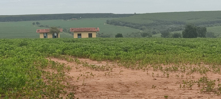 Imagem Chácara com 3 Quartos à Venda, 774 m² em Zona Rural - Alambari