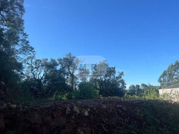 Imagem Terreno à Venda, 360 m² em Linha Olinda - Nova Petrópolis Imagem Terreno à Venda, 360 m² em Linha Olinda - Nova Petrópolis