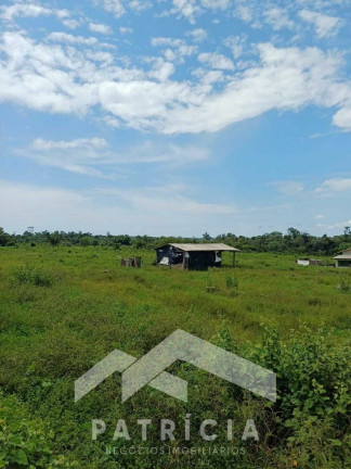 Imagem Imóvel com 2 Quartos à Venda, 140 m² em Zona Rural - Nova Maringá