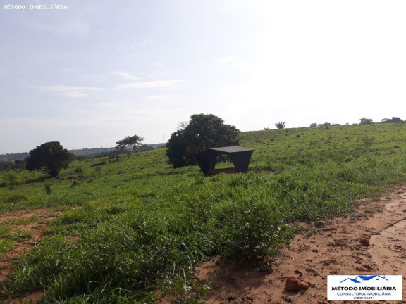 Imagem Fazenda à Venda, 1.050 m² em Rural - Juína Imagem Fazenda à Venda, 1.050 m² em Rural - Juína
