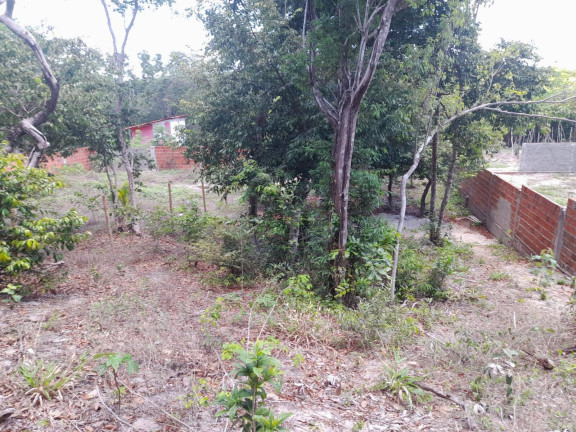 Imagem Terreno à Venda, 301 m² em Praia Da Pipa - Tibau Do Sul Imagem Terreno à Venda, 301 m² em Praia Da Pipa - Tibau Do Sul