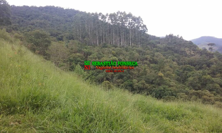 Imagem Chácara à Venda, 484.000 m² em São Francisco Xavier - São José Dos Campos Imagem Chácara à Venda, 484.000 m² em São Francisco Xavier - São José Dos Campos
