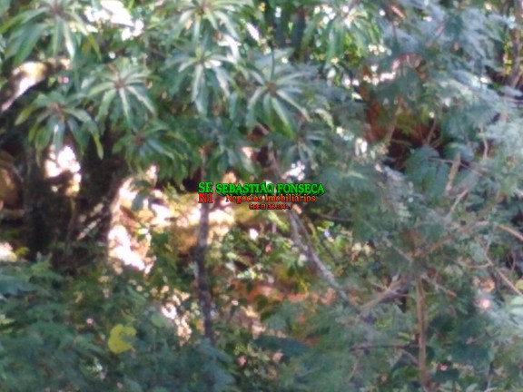 Imagem Chácara à Venda, 1.800 m² em Paraibuna