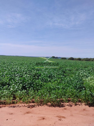Imagem Fazenda à Venda, 169 m² em Monte Alegre De Minas