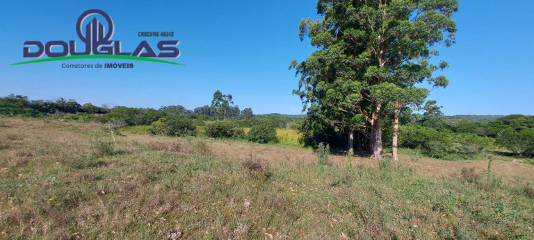 Imagem Chácara à Venda, em Viamão Imagem Chácara à Venda, em Viamão