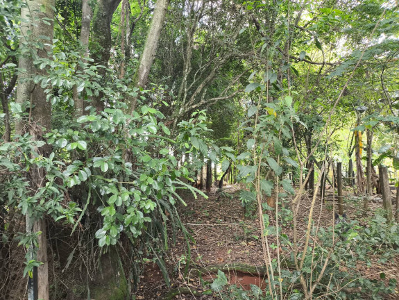Imagem Chácara com 1 Quarto à Venda, 6 m² em Jundiaquara - Araçoiaba Da Serra Imagem Chácara com 1 Quarto à Venda, 6 m² em Jundiaquara - Araçoiaba Da Serra