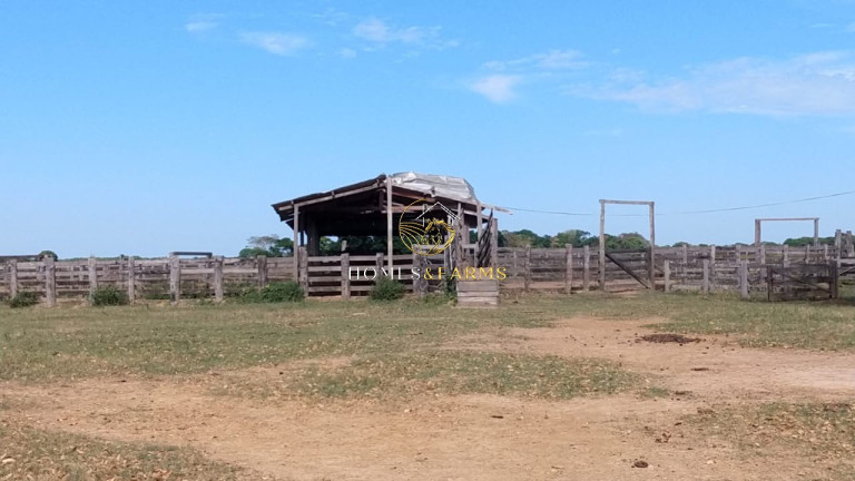 Imagem Imóvel com 3 Quartos à Venda, 88.000 m² em Zona Rural - Poconé Imagem Imóvel com 3 Quartos à Venda, 88.000 m² em Zona Rural - Poconé