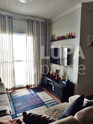 Apartamento com 3 Quartos à Venda, 67 m² em Vila Constança - São Paulo