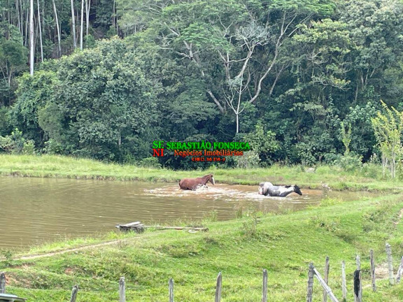 Imagem Chácara à Venda, 19 m² em área Rural De Aparecida - Aparecida Imagem Chácara à Venda, 19 m² em área Rural De Aparecida - Aparecida