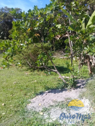 Imagem Chácara com 3 Quartos para Alugar ou Temporada, 60 m² em Gaivota - Itanhaém