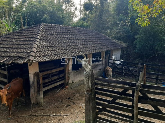 Imagem Imóvel com 2 Quartos à Venda, 1 m² em Bairro São José Do Retiro - Bananal