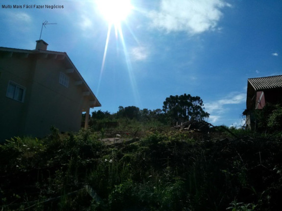 Imagem Terreno à Venda, 480 m² em Vale Verde - Nova Petrópolis Imagem Terreno à Venda, 480 m² em Vale Verde - Nova Petrópolis