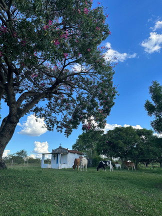 Imagem Imóvel à Venda, 44.770 m² em Porangaba Imagem Imóvel à Venda, 44.770 m² em Porangaba