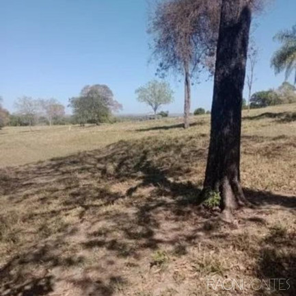Imagem Fazenda à Venda, 2.032.800 m² em Zona Rural - Guaraci