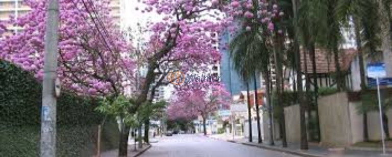 Imagem Imóvel com 3 Quartos à Venda, 90 m² em Cambuí - Campinas