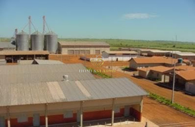 Imagem Imóvel com 4 Quartos à Venda, 103.000 m² em Zona Rural - Porto Alegre Do Norte Imagem Imóvel com 4 Quartos à Venda, 103.000 m² em Zona Rural - Porto Alegre Do Norte