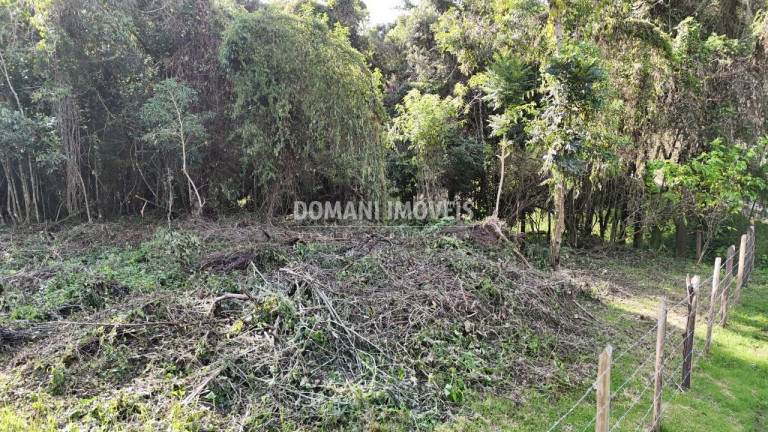Imagem Terreno à Venda, 1.010 m² em Região Do Alto Da Boa Vista - Campos Do Jordão Imagem Terreno à Venda, 1.010 m² em Região Do Alto Da Boa Vista - Campos Do Jordão