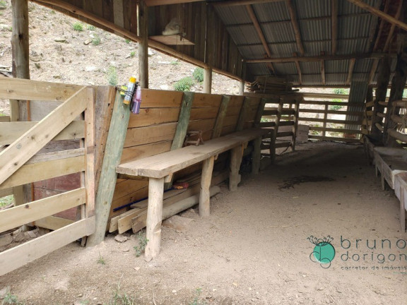 Imagem Imóvel com 3 Quartos à Venda, 250.000 m² em Zona Rural - Bom Retiro