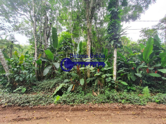 Terreno à Venda, 1.138 m² em Itamambuca - Ubatuba