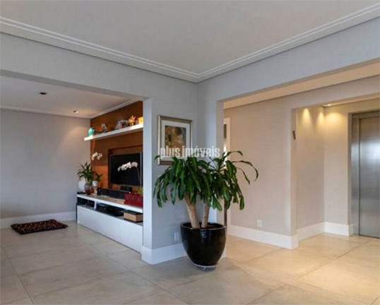 Imagem Apartamento com 4 Quartos à Venda, 240 m² em Higienópolis - São Paulo Imagem Apartamento com 4 Quartos à Venda, 240 m² em Higienópolis - São Paulo