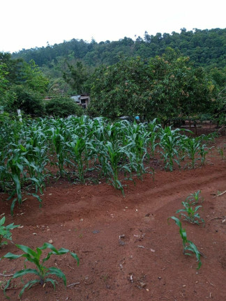 Imagem Imóvel à Venda, 1.400 m² em Boa Vista Dos Silva - Bragança Paulista Imagem Imóvel à Venda, 1.400 m² em Boa Vista Dos Silva - Bragança Paulista