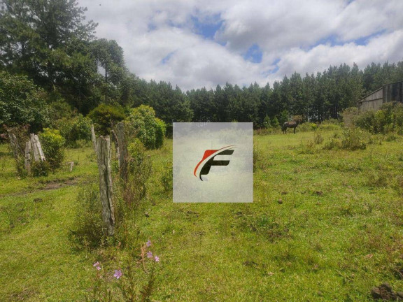 Imagem Terreno à Venda, 44.162 m² em Lapa - Mariental