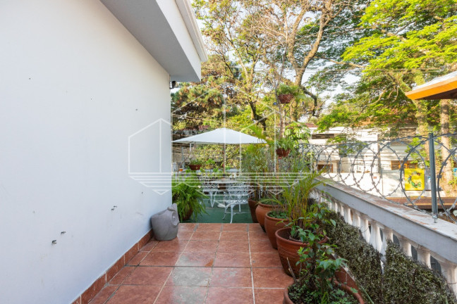 Imagem Casa com 3 Quartos à Venda, 332 m² em Jardim Europa - São Paulo Imagem Casa com 3 Quartos à Venda, 332 m² em Jardim Europa - São Paulo
