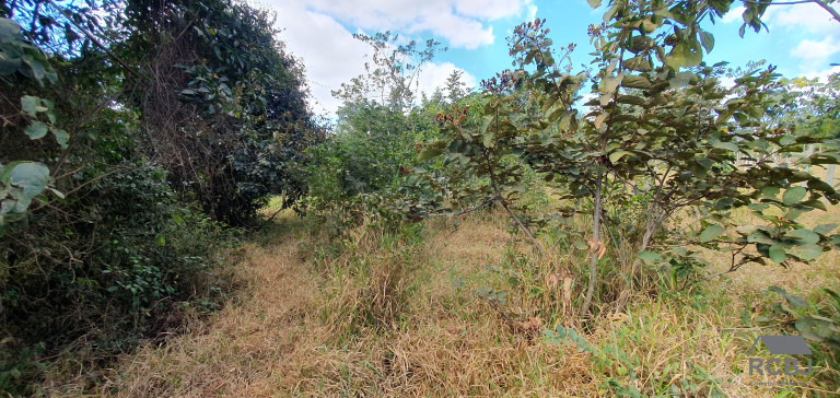 Imagem Terreno à Venda, 1.300 m² em Esmeraldas/quati - Esmeraldas Imagem Terreno à Venda, 1.300 m² em Esmeraldas/quati - Esmeraldas