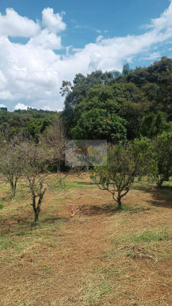 Imagem Chácara com 2 Quartos à Venda, 3 m² em Jardim Cananéia - Pilar Do Sul Imagem Chácara com 2 Quartos à Venda, 3 m² em Jardim Cananéia - Pilar Do Sul