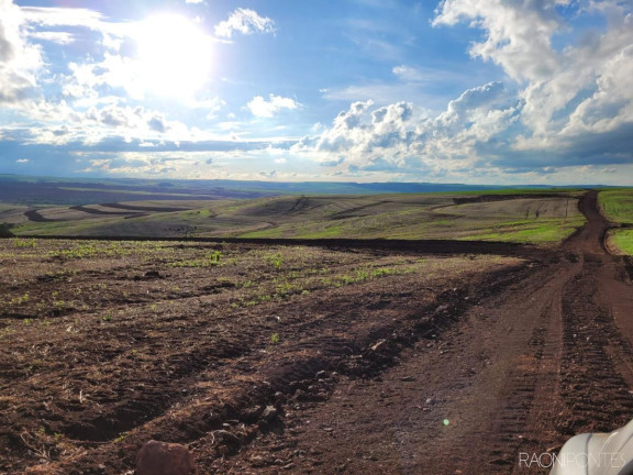 Imagem Fazenda à Venda, 2.057.000 m² em Centro - Cambé