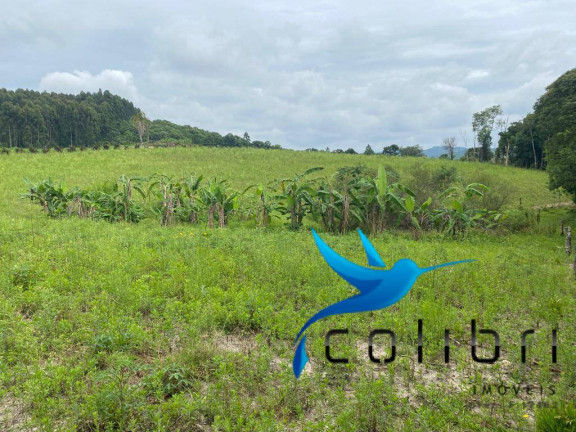 Imagem Chácara à Venda, 21.000 m² em Ribeirãozinho - Agudos Do Sul Imagem Chácara à Venda, 21.000 m² em Ribeirãozinho - Agudos Do Sul