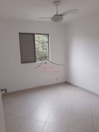 Imagem Apartamento com 3 Quartos à Venda, 64 m² em Vila Ivone - São Paulo Imagem Apartamento com 3 Quartos à Venda, 64 m² em Vila Ivone - São Paulo