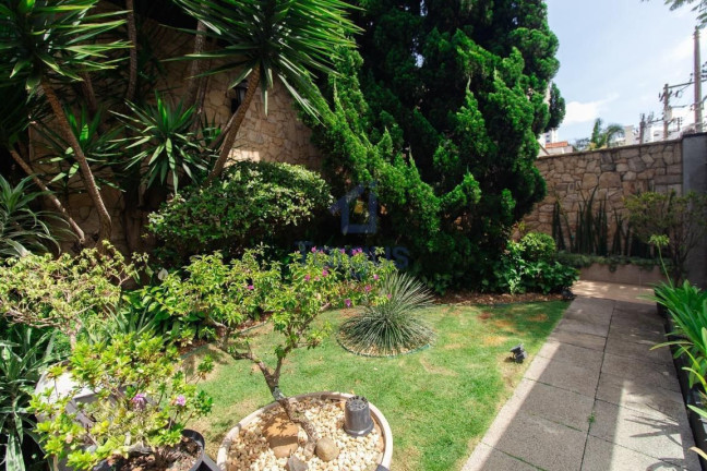 Imagem Casa com 3 Quartos à Venda, 380 m² em Jardim Avelino - São Paulo