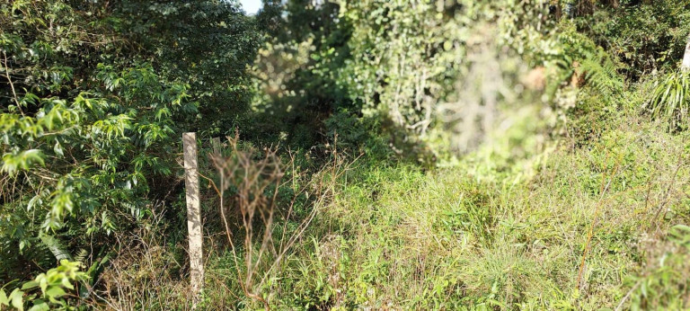 Imagem Chácara com 2 Quartos à Venda, 1 m² em Bateias - Campo Largo