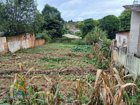 Terreno à Venda, 262 m² em Uvaranas - Ponta Grossa