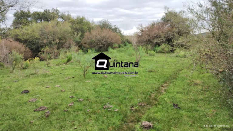Imagem Imóvel à Venda, 450.000 m² em 5 Distrito - Piratini