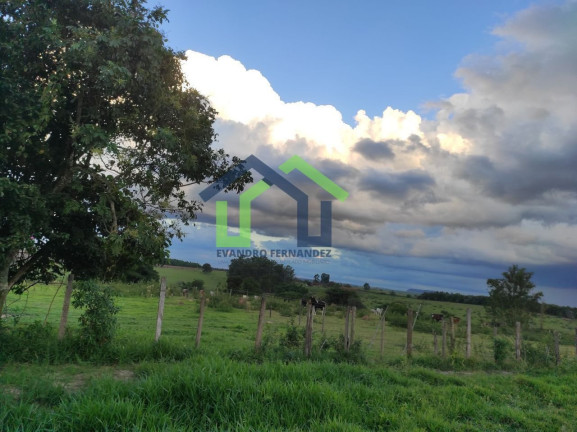 Imagem Terreno à Venda, 5.000 m² em Graminha - São Pedro Imagem Terreno à Venda, 5.000 m² em Graminha - São Pedro