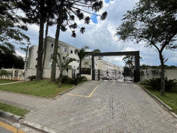 Apartamento com 2 Quartos à Venda, 38 m² em Campina Da Barra - Araucaria
