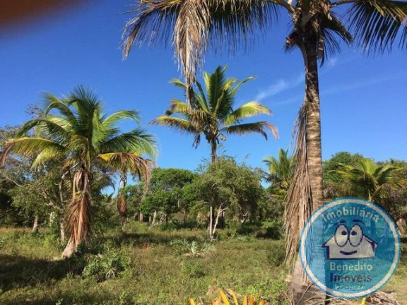 Imagem Terreno à Venda, 22.460 m² em Trancoso - Porto Seguro Imagem Terreno à Venda, 22.460 m² em Trancoso - Porto Seguro