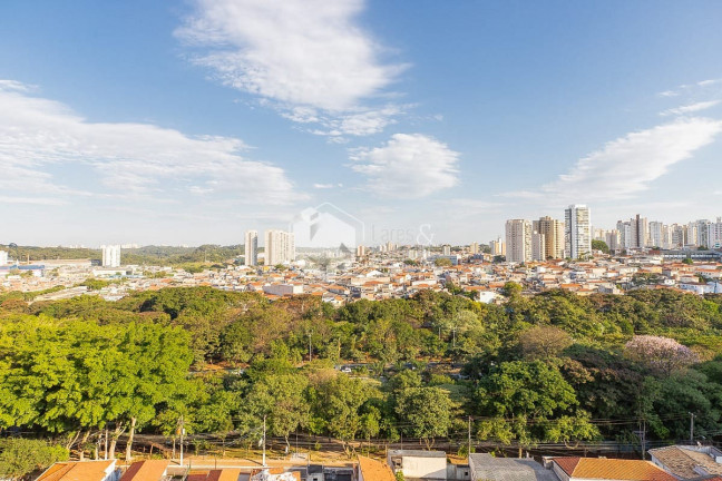 Imagem Apartamento com 3 Quartos à Venda, 102 m² em Vila Monte Alegre - São Paulo Imagem Apartamento com 3 Quartos à Venda, 102 m² em Vila Monte Alegre - São Paulo