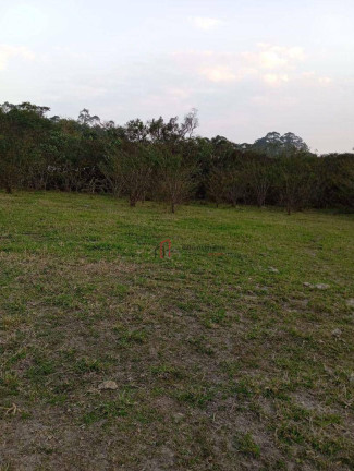 Imagem Imóvel à Venda, 33.000 m² em Jardim Cambiri - Ferraz De Vasconcelos