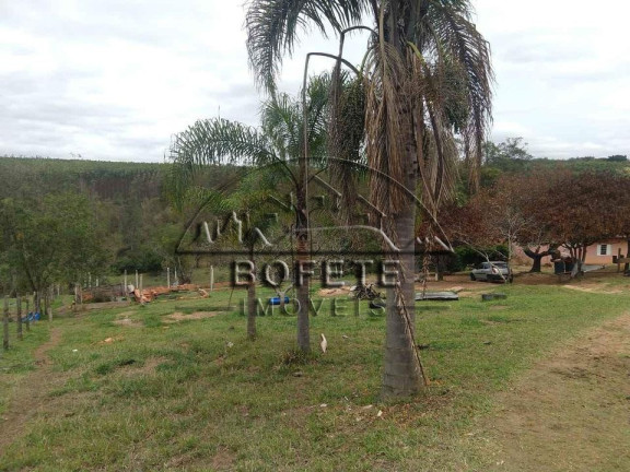 Imagem Imóvel com 3 Quartos à Venda, 5.000 m² em Mococa - Bofete