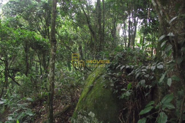 Imagem Terreno à Venda, 2.358 m² em Parque Alvorada - Santana De Parnaíba Imagem Terreno à Venda, 2.358 m² em Parque Alvorada - Santana De Parnaíba