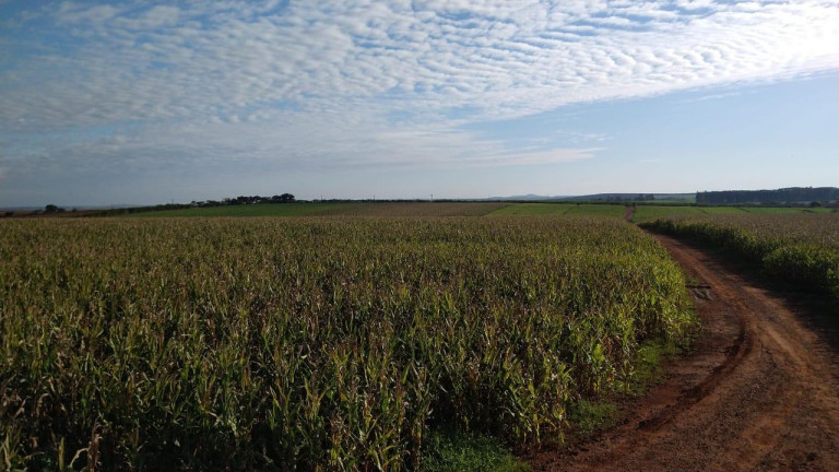 Imagem Fazenda à Venda, 54 m² em Itai - Itaí Imagem Fazenda à Venda, 54 m² em Itai - Itaí
