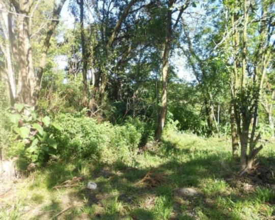 Imagem Terreno à Venda, 15.000 m² em Centro - Nova Petrópolis Imagem Terreno à Venda, 15.000 m² em Centro - Nova Petrópolis