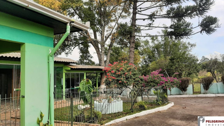 Imagem Casa com 2 Quartos à Venda, 301 m² em Zona Rural - Sentinela Do Sul Imagem Casa com 2 Quartos à Venda, 301 m² em Zona Rural - Sentinela Do Sul