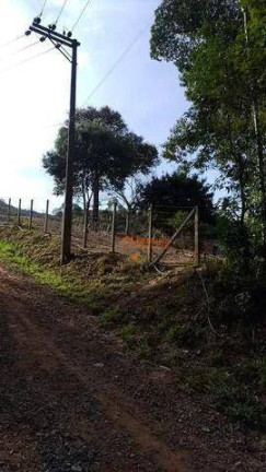 Imagem Terreno à Venda, 1.000 m² em Marmelo - Guarulhos